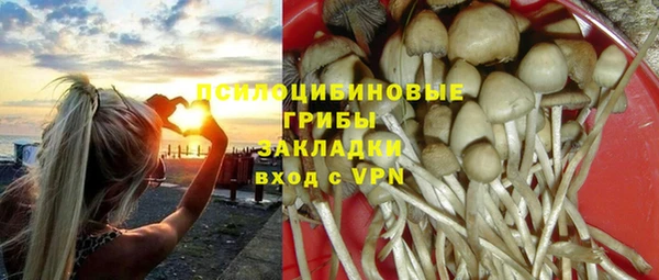 твердый Балабаново