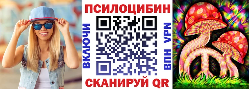 купить   Калуга  Псилоцибиновые грибы Cubensis 