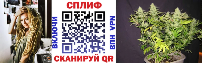 Бошки Шишки Ganja  где можно купить наркотик  Калуга 